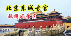 操屄表演视频中国北京-东城古宫旅游风景区